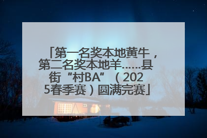 第一名奖本地黄牛，第二名奖本地羊……县街“村BA”（2025春季赛）圆满完赛