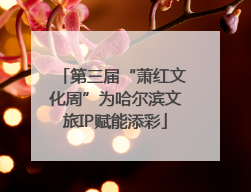 第三届“萧红文化周”为哈尔滨文旅IP赋能添彩