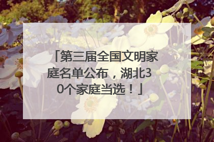 第三届全国文明家庭名单公布，湖北30个家庭当选！