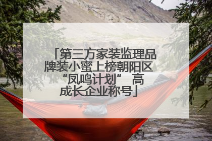 第三方家装监理品牌装小蜜上榜朝阳区 “凤鸣计划” 高成长企业称号
