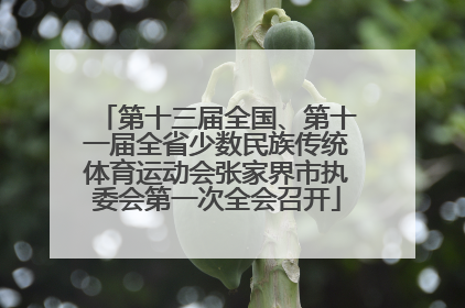 第十三届全国、第十一届全省少数民族传统体育运动会张家界市执委会第一次全会召开