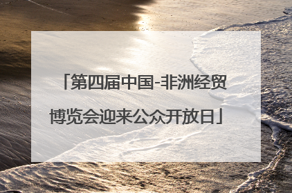 第四届中国-非洲经贸博览会迎来公众开放日