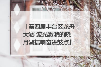 第四届丰台区龙舟大赛 波光潋滟的晓月湖擂响奋进鼓点