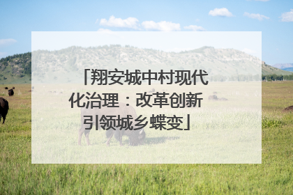 翔安城中村现代化治理：改革创新引领城乡蝶变