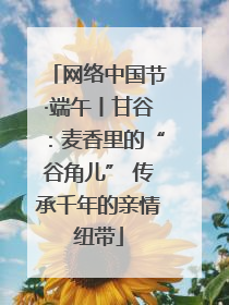 网络中国节·端午丨甘谷：麦香里的“谷角儿” 传承千年的亲情纽带