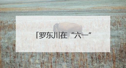 罗东川在“六一”前夕看望少年儿童 争当爱党爱国勤奋好学 全面发展的新时代好少年