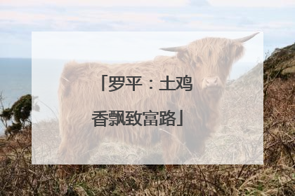 罗平：土鸡香飘致富路