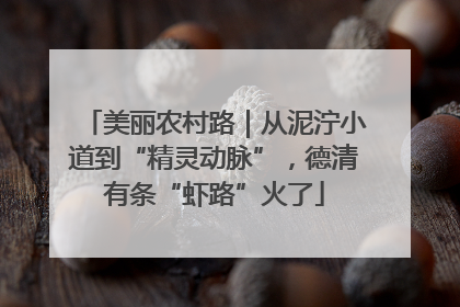 美丽农村路｜从泥泞小道到“精灵动脉”，德清有条“虾路”火了