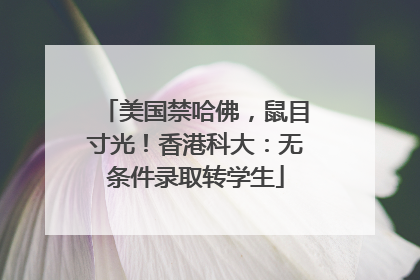 美国禁哈佛，鼠目寸光！香港科大：无条件录取转学生