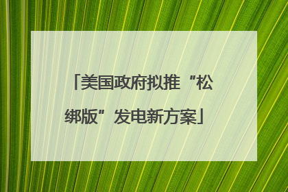 美国政府拟推“松绑版”发电新方案