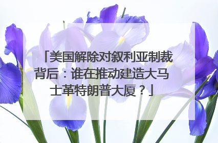 美国解除对叙利亚制裁背后：谁在推动建造大马士革特朗普大厦？