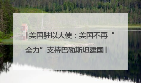 美国驻以大使：美国不再“全力”支持巴勒斯坦建国