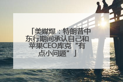 美媒爆：特朗普中东行期间承认自己和苹果CEO库克“有点小问题”