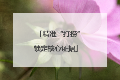 精准“打捞”锁定核心证据