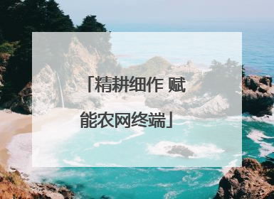 精耕细作 赋能农网终端