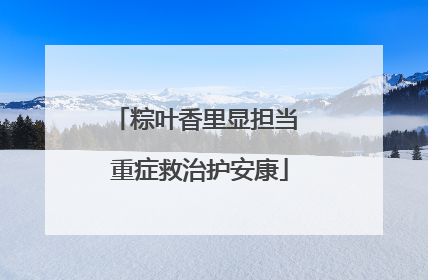 粽叶香里显担当 重症救治护安康