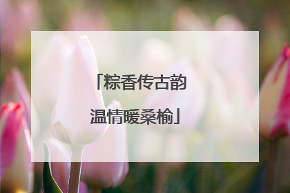 粽香传古韵 温情暖桑榆