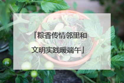 粽香传情邻里和 文明实践暖端午