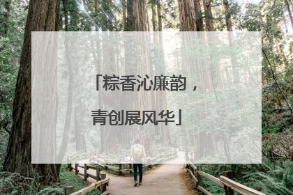 粽香沁廉韵，青创展风华