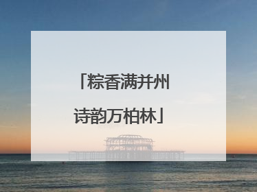 粽香满并州 诗韵万柏林