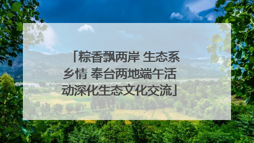 粽香飘两岸 生态系乡情 奉台两地端午活动深化生态文化交流