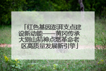 红色基因澎湃支点建设新动能——黄冈传承大别山精神点燃革命老区高质量发展新引擎