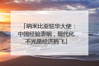 纳米比亚驻华大使：中国经验表明，现代化不光是经济腾飞