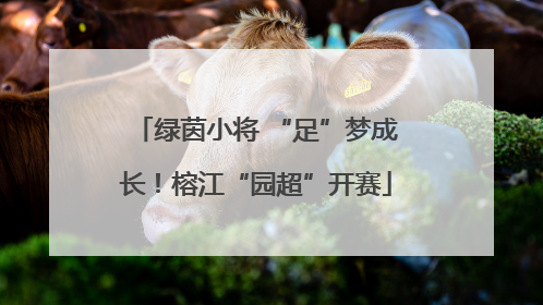 绿茵小将 “足”梦成长！榕江“园超”开赛
