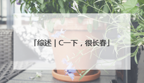综述｜C一下，很长春