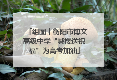 组图丨衡阳市博文高级中学“喊楼送祝福”为高考加油