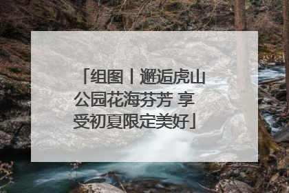组图丨邂逅虎山公园花海芬芳 享受初夏限定美好