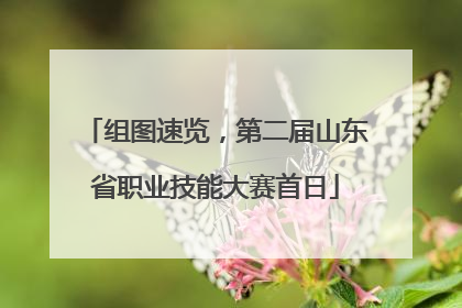 组图速览，第二届山东省职业技能大赛首日