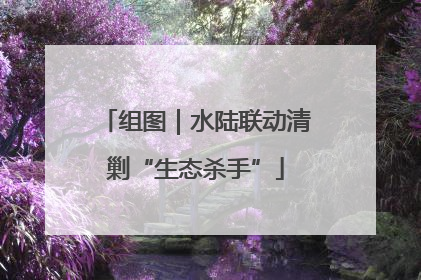组图｜水陆联动清剿“生态杀手”