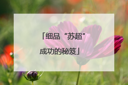 细品“苏超”成功的秘笈
