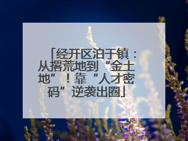 经开区泊于镇：从撂荒地到“金土地”！靠“人才密码”逆袭出圈
