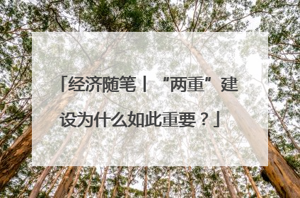 经济随笔丨“两重”建设为什么如此重要？