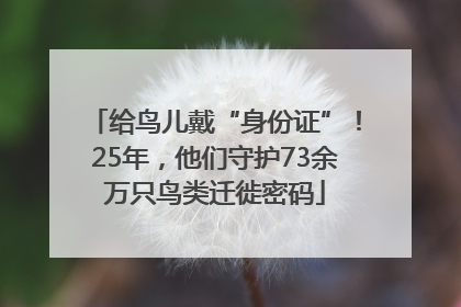 给鸟儿戴“身份证”！25年，他们守护73余万只鸟类迁徙密码
