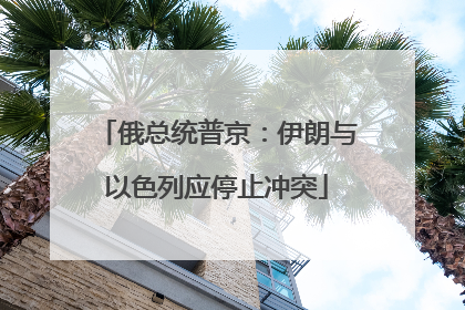 俄总统普京：伊朗与以色列应停止冲突