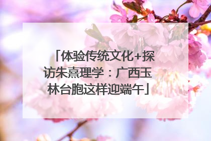 体验传统文化+探访朱熹理学：广西玉林台胞这样迎端午
