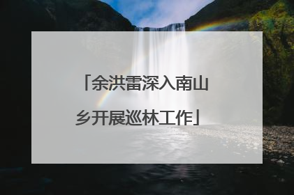 余洪雷深入南山乡开展巡林工作