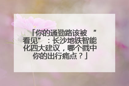 你的通勤路该被 “看见”：长沙地铁智能化四大建议，哪个戳中你的出行痛点？