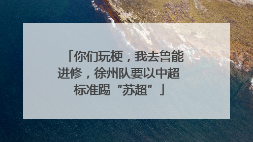 你们玩梗，我去鲁能进修，徐州队要以中超标准踢“苏超”