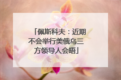佩斯科夫：近期不会举行美俄乌三方领导人会晤