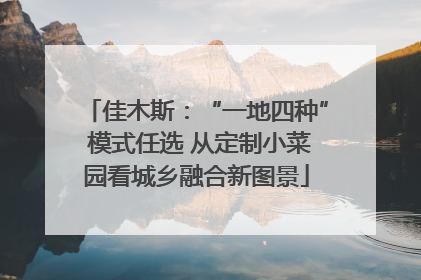 佳木斯：“一地四种” 模式任选 从定制小菜园看城乡融合新图景