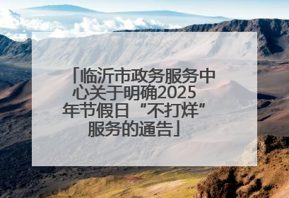 临沂市政务服务中心关于明确2025年节假日“不打烊”服务的通告