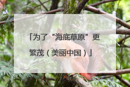 为了“海底草原”更繁茂（美丽中国）