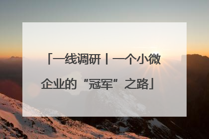 一线调研丨一个小微企业的“冠军”之路