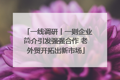 一线调研丨一则企业简介引发强强合作 老外贸开拓出新市场