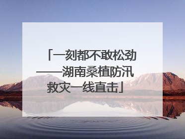 一刻都不敢松劲——湖南桑植防汛救灾一线直击