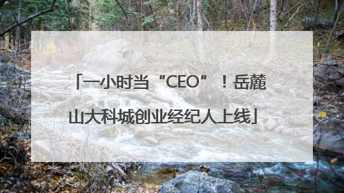 一小时当“CEO”！岳麓山大科城创业经纪人上线